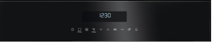 AEG SenseCook Pyrolyse Backofen mit Kerntemperatursensor (BPE742220B)