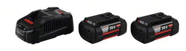 Bosch Professional 2 x GBA 36V 6.0Ah + GAL 3680 CV (1600A00L1U)